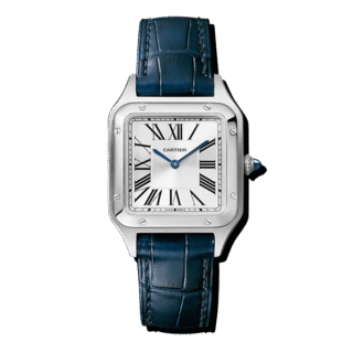 Nunc tempus facilisis