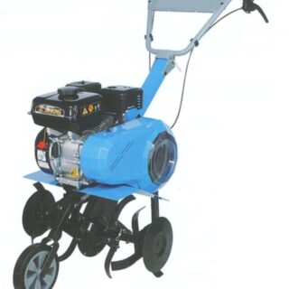 MOTOBINEUSE 6.5HP WT550