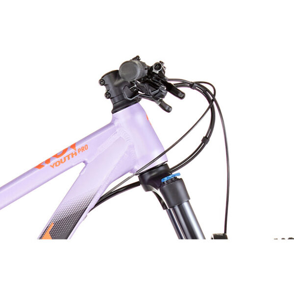 Ghost Riot Pro AL Adolescents, violet/noir – Image 5