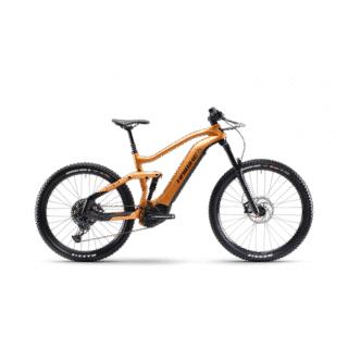 Haibike ALLMTN CF 6 2022
